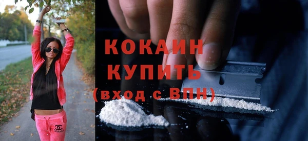 ГАЛЛЮЦИНОГЕННЫЕ ГРИБЫ Арсеньев