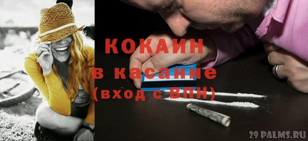 ГАЛЛЮЦИНОГЕННЫЕ ГРИБЫ Арсеньев