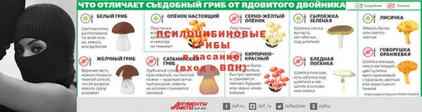 ГАЛЛЮЦИНОГЕННЫЕ ГРИБЫ Арсеньев
