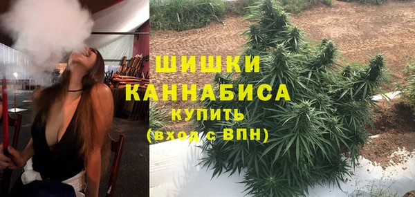 ГАЛЛЮЦИНОГЕННЫЕ ГРИБЫ Арсеньев