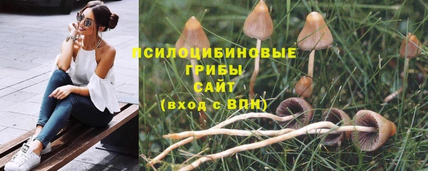 apvp Пролетарск